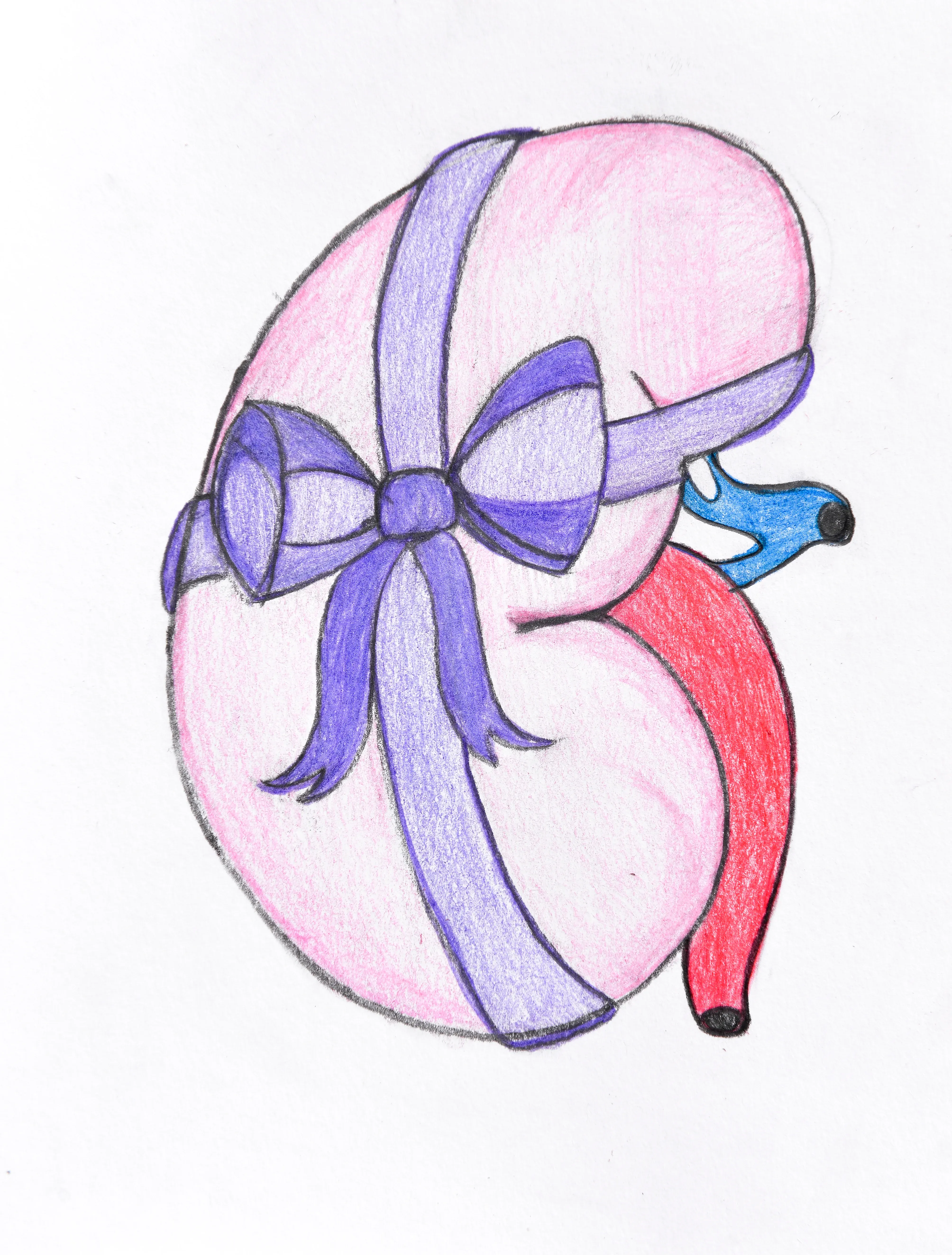 The Decision to Donate